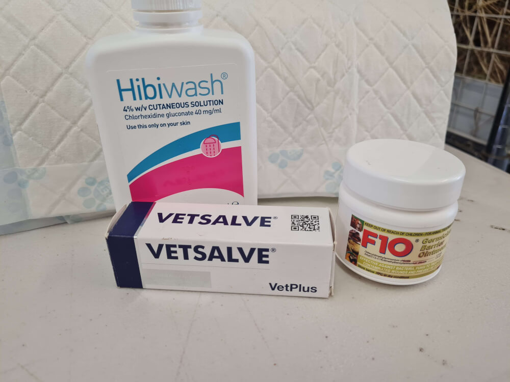 Different treatment products used for Bumblefoot