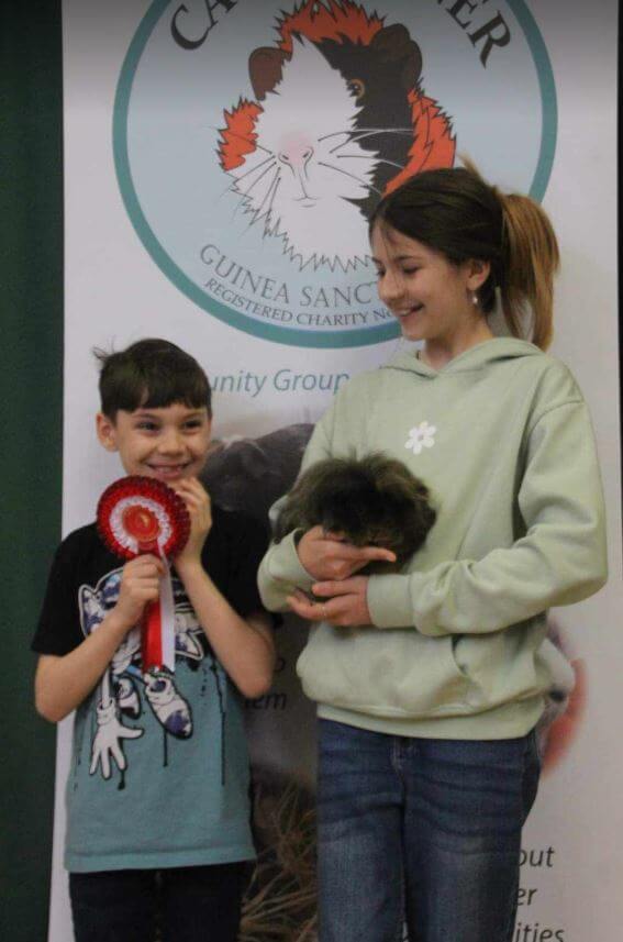 Young boy with a fun show rosette and a girl holding a guinea pig