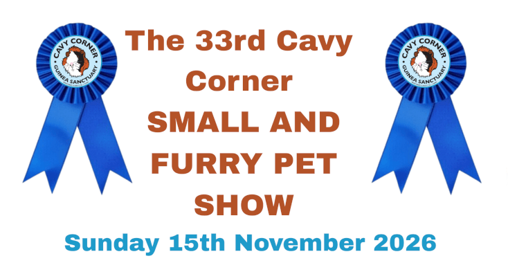 Cavy Corner 33rd Fun Show Poster