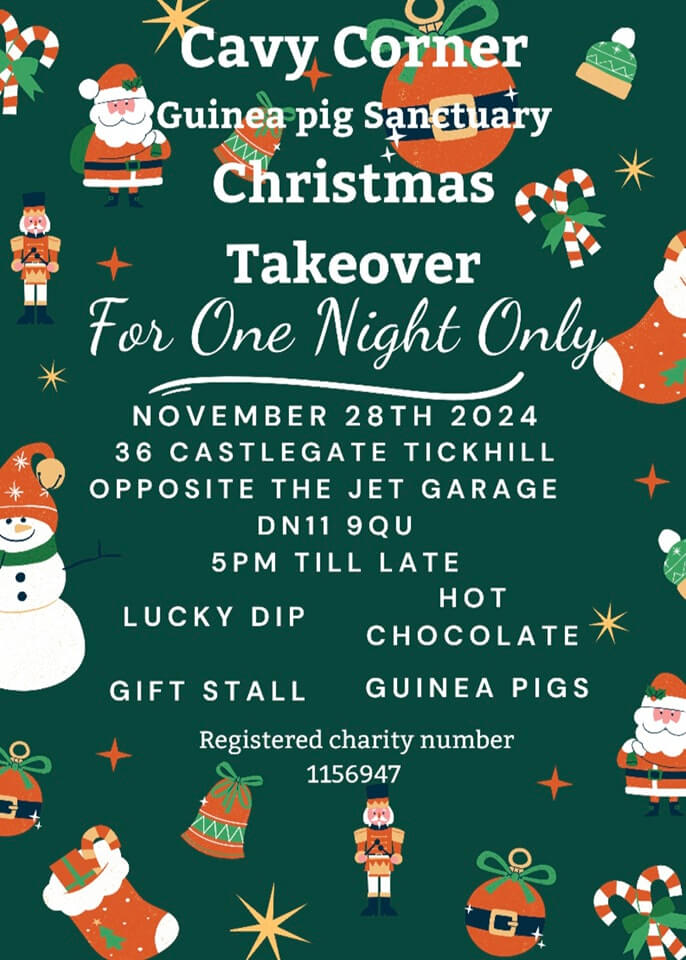 Christmas takeover poster