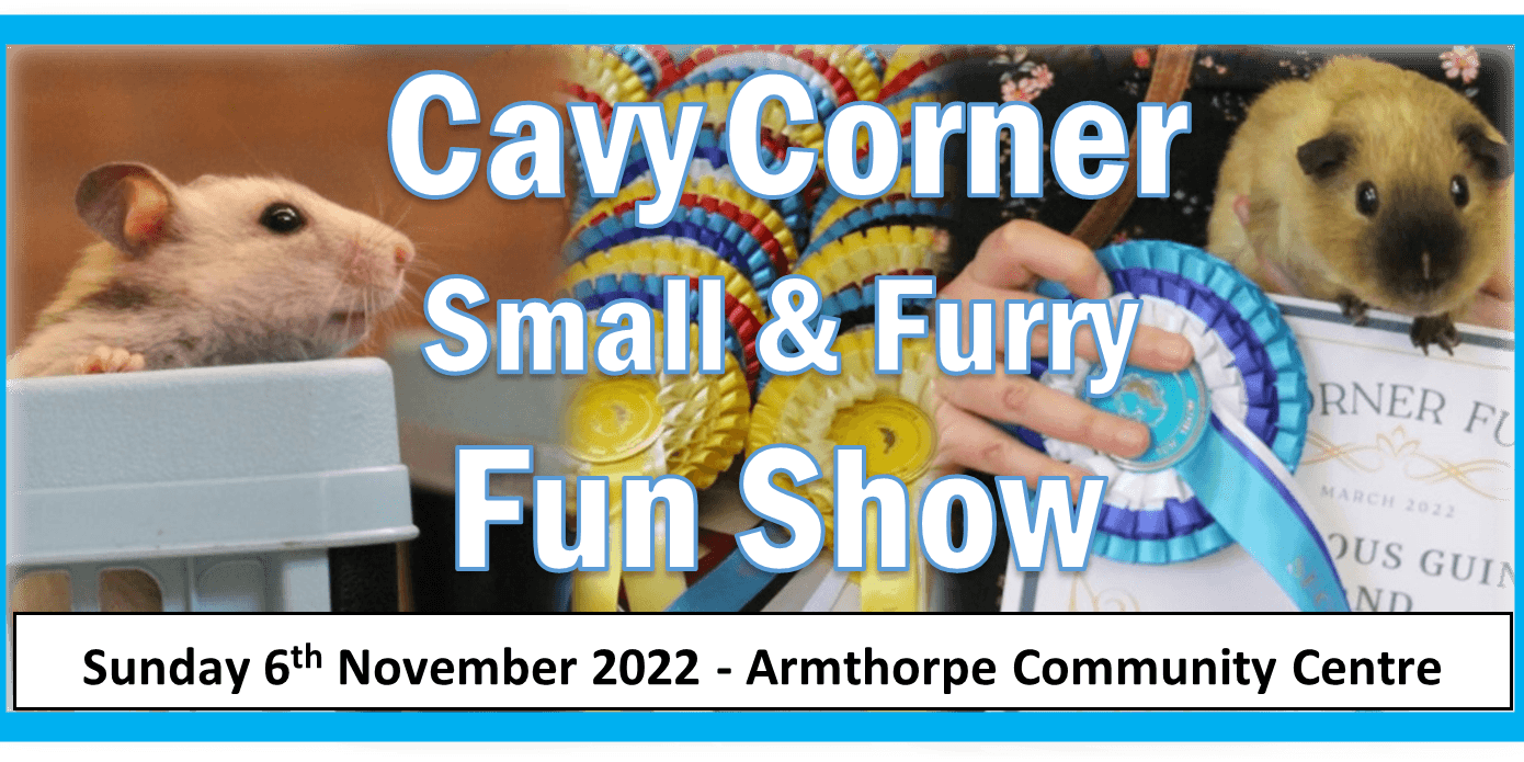 24th fun show poster