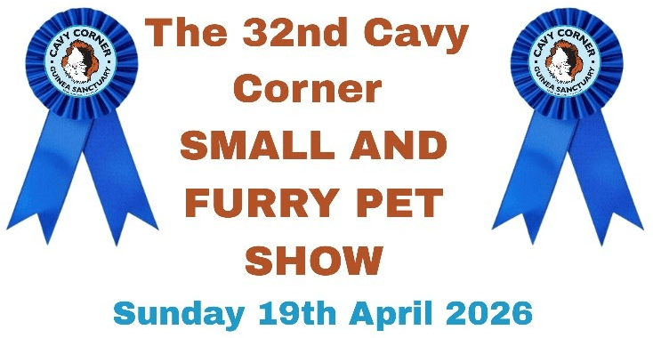 Cavy Corner 32nd Fun Show Poster