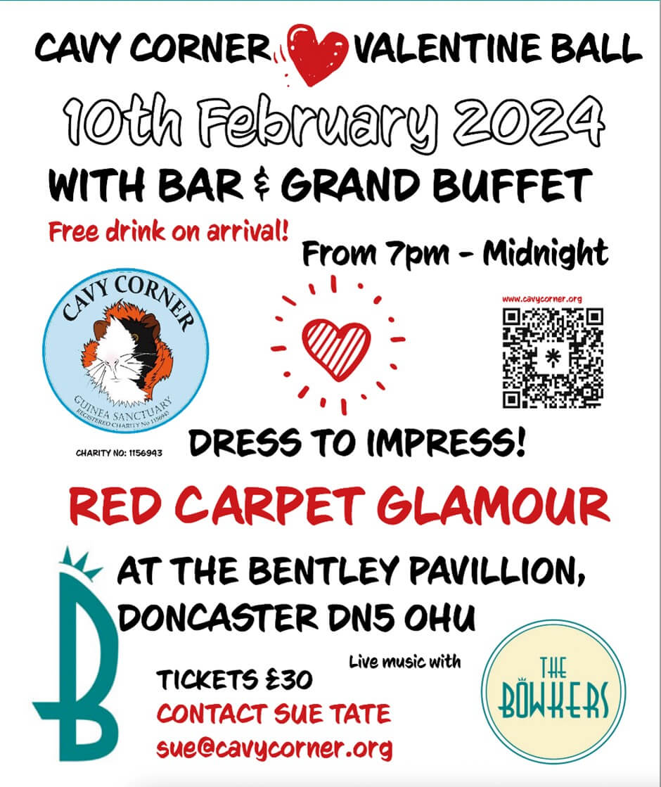 Cavy Corner Valentines Ball thumbnail image