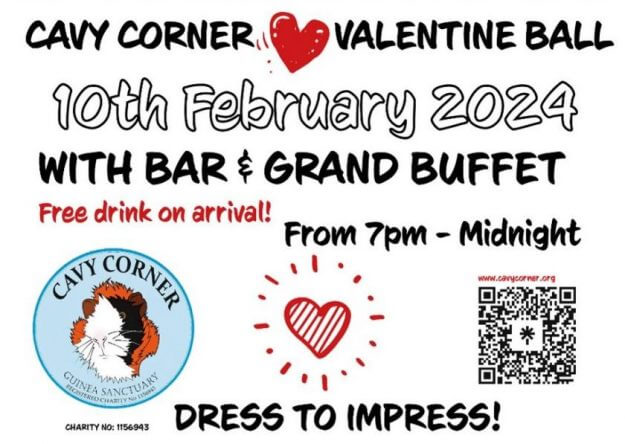Cavy Corner Valentines Ball Poster Full size