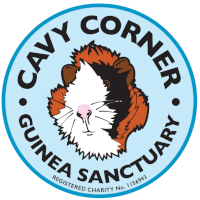Cavy Corner Guinea Sanctuary Official Logo