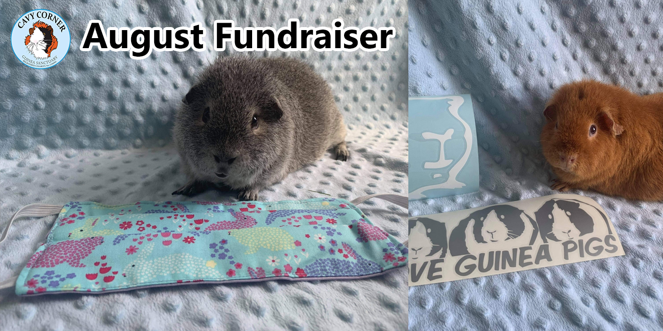 August fundraiser poster