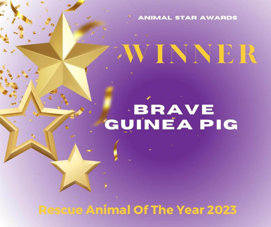 Rescue animal of the year poster