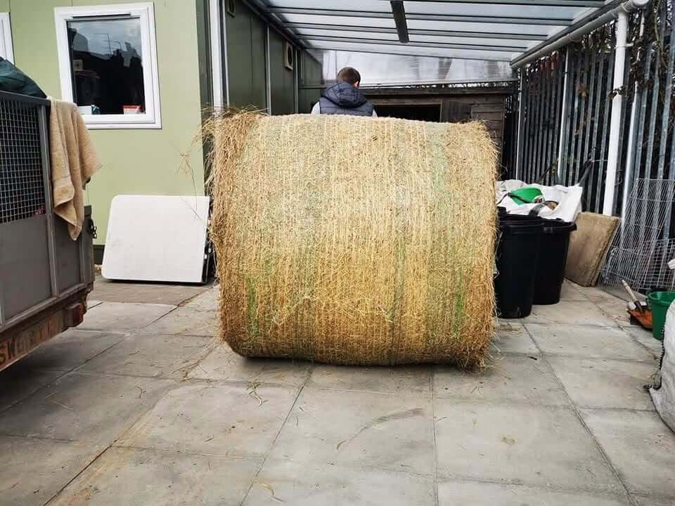Outdoor canopy with hay bay in front