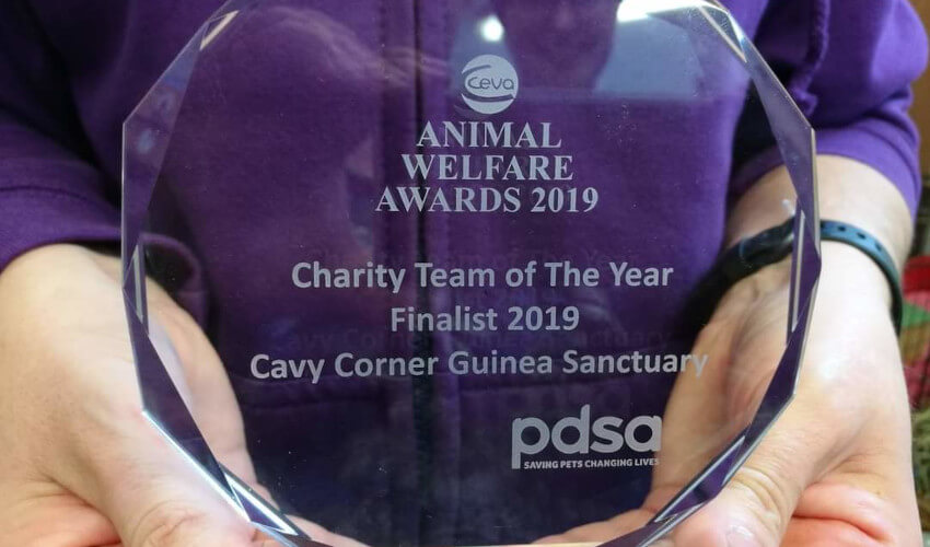 CEVA Animal Welfare Awards Trophy