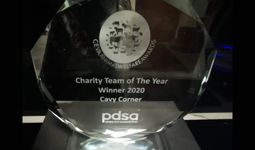 Charity Team of the Year Award Trophy
