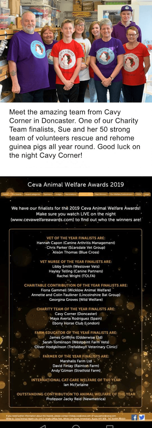 Cavy Corner volunteers and Ceva finalists list for 2019