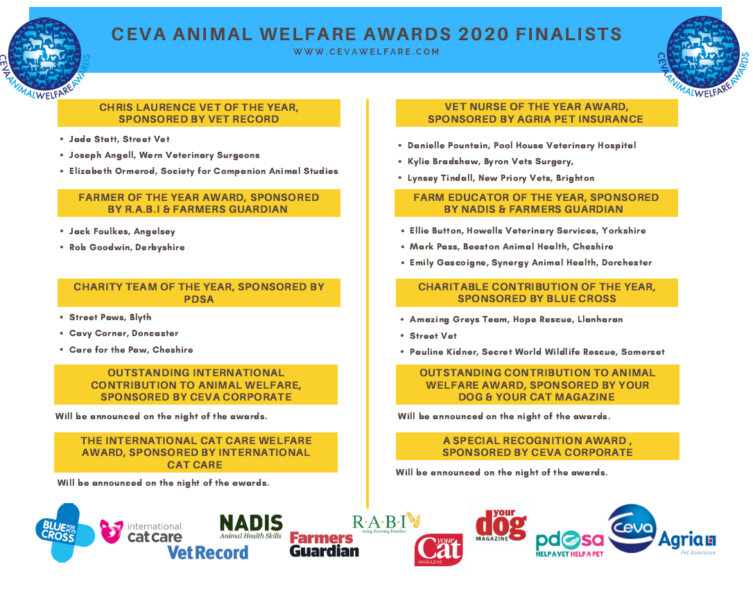 Ceva finalists 2020
