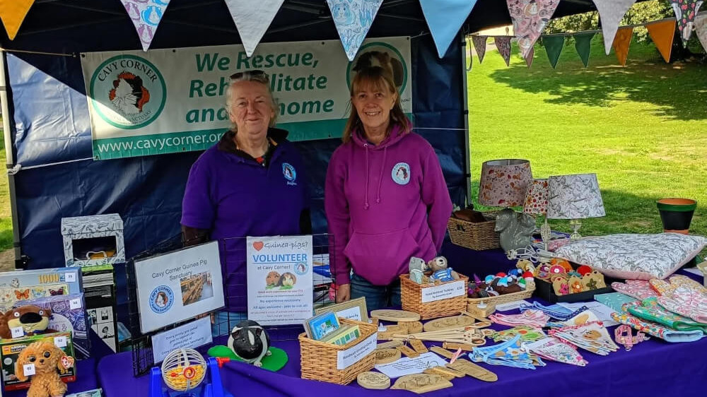 Cavy Corner stand at Cusworth Hall