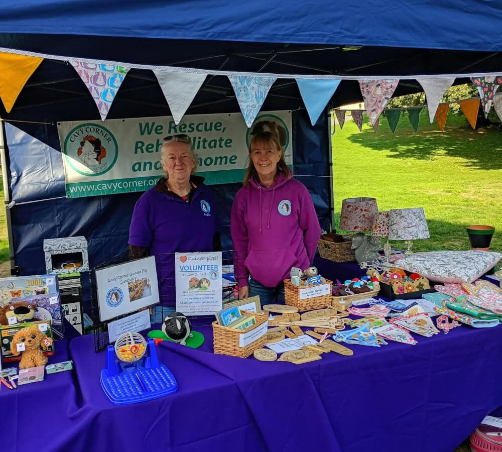 Cavy Corner stand at Cusworth Hall