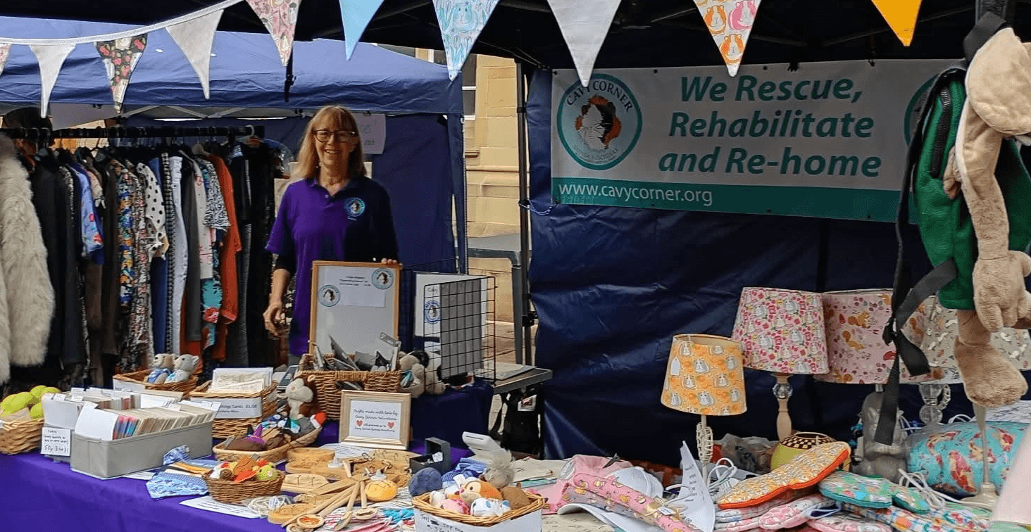 Cavy Corner stand at Glossop Market