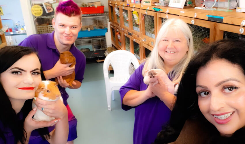 Volunteers holding guinea pigs at Cavy Corner