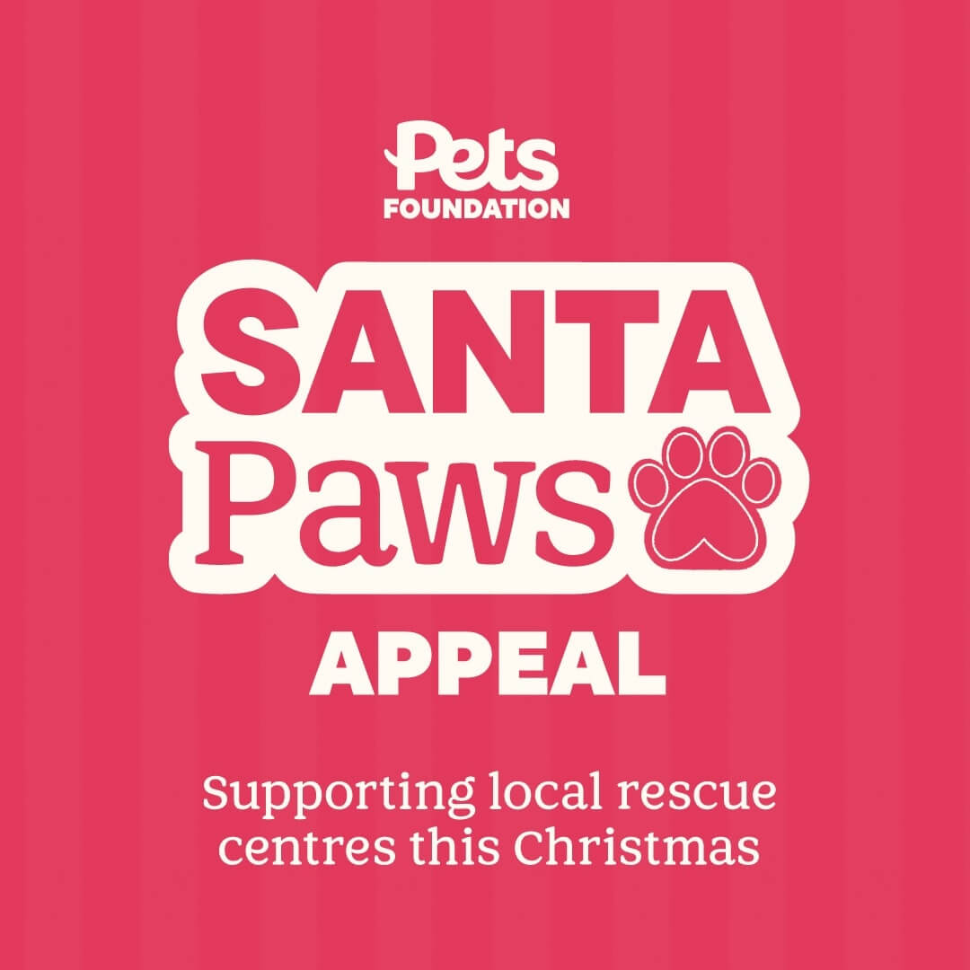 Santa Paws appeal poster