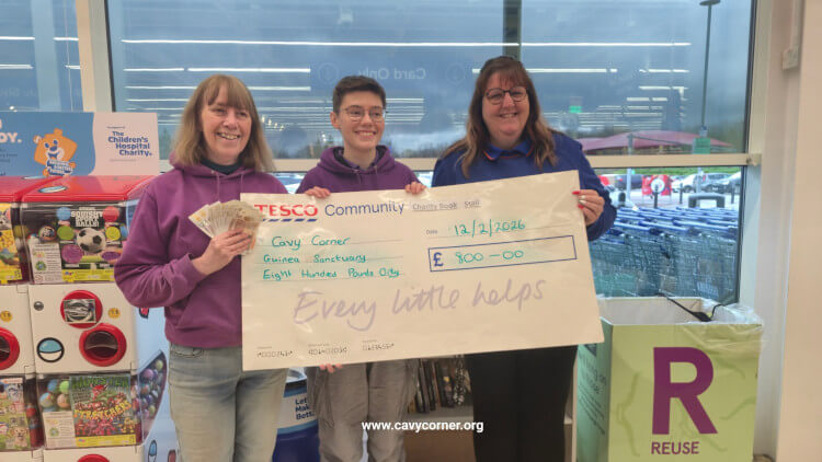 Tesco staff member and 2 Cavy Corner Volunteers holding a large cheque.