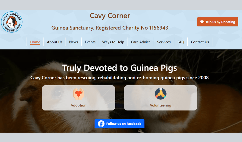 Screenshot of the new Cavy Corner Website
