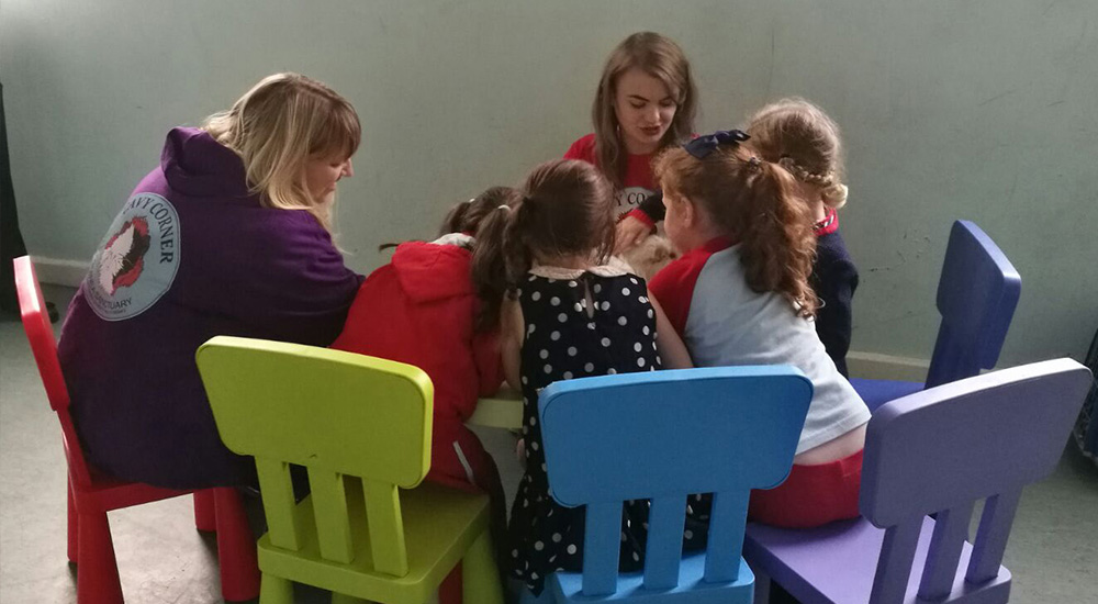 School and Group Visits