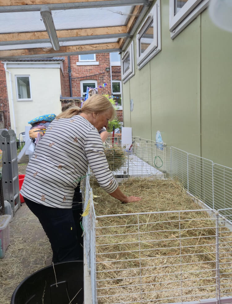 Cavy Corner volunteer filling a cage with hay after cage cleaning