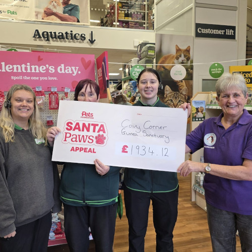 Cavy Corner fundraising