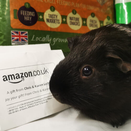 Amazon Wishlist donations
