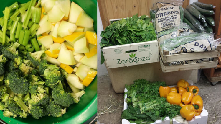 Donated vegetables at Cavy Corner