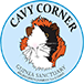 Cavy Corner