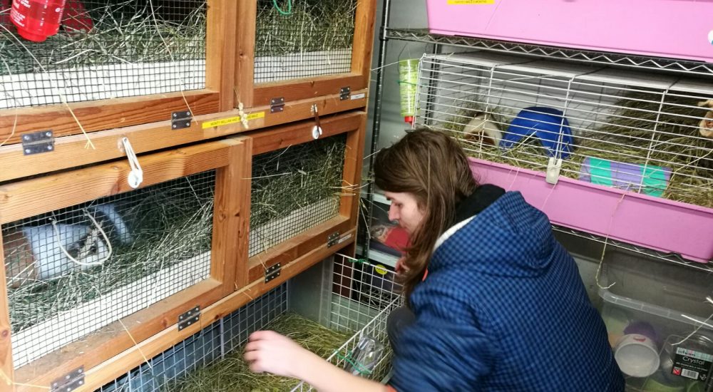 WhatsApp Image 2018-02-24 at 20.19.39 WhatsApp Image 2018-02-24 at 20.19.39