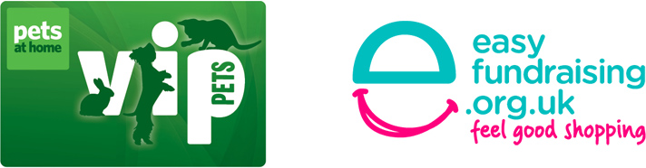 fundraising fundraising