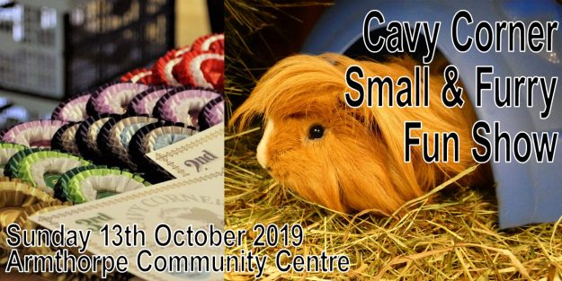 Fun show image 13th October 2019