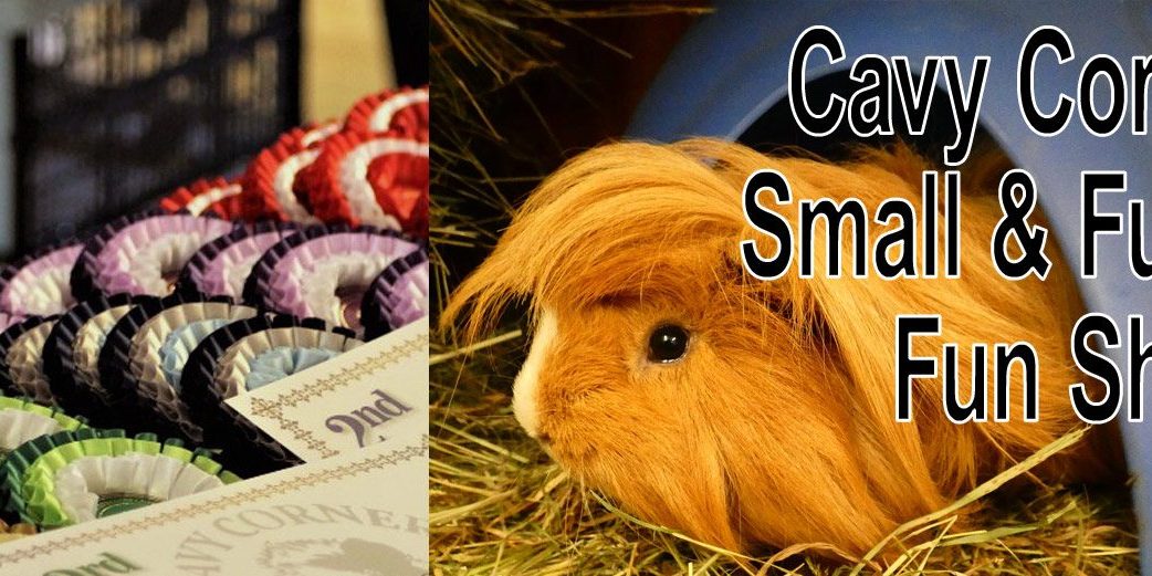 funshow-5thapril2020