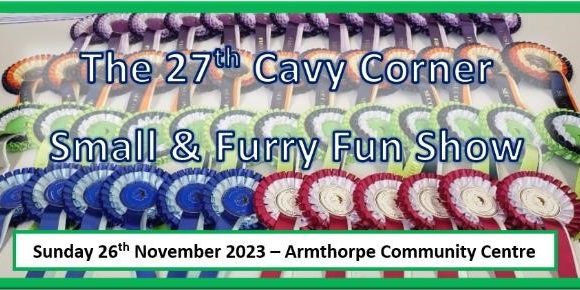 CC_Fun_Show_26.11.23 Fun show image