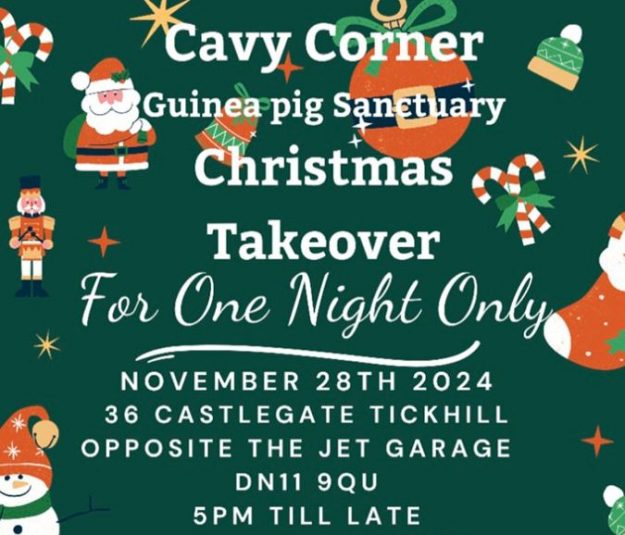 XmasTakeover28112024-2